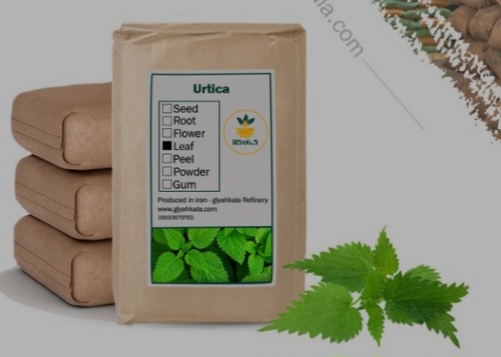 تصویر 1 از گیاه گزنه خشک، پودری بسته بندی شده + فروش صادراتی